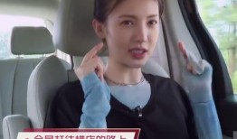 金晨综艺爆料了吗视频在线观看,独家视频带你揭秘