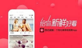早安爆料今日头条视频,今日头条视频揭秘热门话题，精彩内容不容错过！