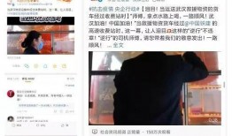 感动视频爆料大全免费,揭秘免费视频爆料大全中的感人故事