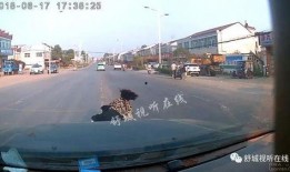 福建工厂爆料事件视频,揭露劳动争议与生产真相