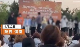 陕西学校最新爆料,揭秘校园内幕，真相令人震惊！