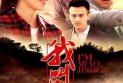 我叫苗金花电视剧全集在线观看