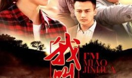我叫苗金花电视剧全集在线观看