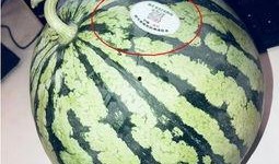 推特吃瓜网红是真的吗,真相还是炒作？”