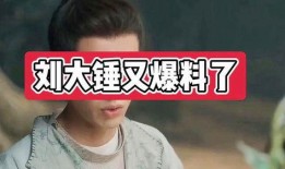 爆料娱乐圈刘大锤的小说,刘大锤揭秘幕后真相