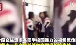 爆料挨打视频大全最新版,挨打视频大全惊悚揭秘