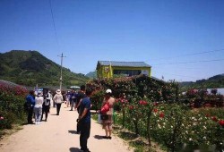 邯郸花溪谷最新爆料事件,神秘事件引发热议，真相即将揭晓！