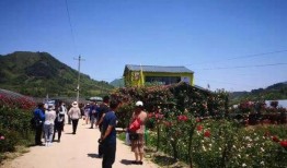 邯郸花溪谷最新爆料事件,神秘事件引发热议，真相即将揭晓！