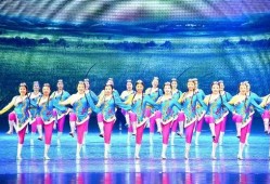 爆料雏形舞蹈视频大全,雏形舞蹈视频大全精彩集锦