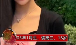 爆料绯闻女友视频播放网站,热门事件背后的真相揭晓