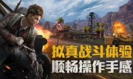 和平精英师傅爆料视频,揭秘游戏内幕与精彩瞬间