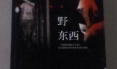 野东西4手机在线观看,手机在线惊悚之旅