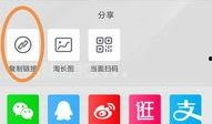 肥猫最新爆料网站,最新爆料网站深度解析