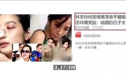 台媒爆料家暴视频,家庭悲剧引发社会关注