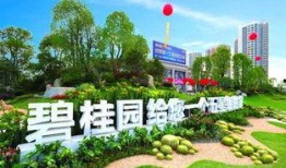 广安碧桂园爆料案件最新,揭秘背后惊人真相