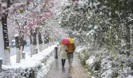 昆明爆料下雪视频大全播放,网友视频大全记录冬日美景