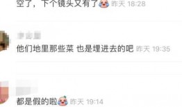 嘉宾爆料阿姨视频,嘉宾爆料阿姨视频背后的惊人真相