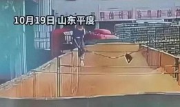 青岛啤酒爆料事件视频,真相与争议全解析