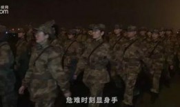 天降浩劫手机在线观看,手机在线惊悚之旅
