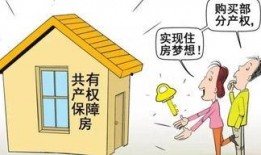 中国房子爆料最新消息,揭秘房价走势与政策调整揭秘