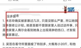 台媒爆料家暴视频,家庭悲剧引发社会关注