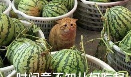 最新黑瓜爆料,揭秘娱乐圈惊天秘密