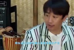 黄磊爆料学生视频大全,揭秘校园日常点滴