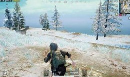 加查雪最新爆料,揭秘娱乐圈幕后真相