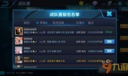 从哪看王者最新爆料记录,最新爆料记录深度解析