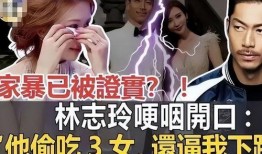 台媒爆料家暴视频,家庭悲剧引发社会关注