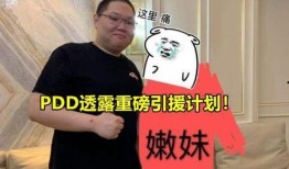 pdd直播最新爆料,最新爆料带你领略电竞圈风云变幻