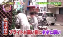 美国居民生活爆料视频,真实生活片段曝光