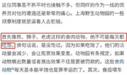 内部员工爆料视频,企业真实内幕大曝光