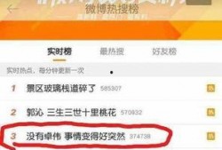 卓伟爆料刘芸视频播放,真相背后引热议