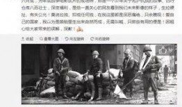 鞍山饭店爆料事件始末视频,真相与争议的交织