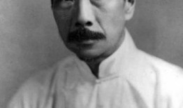 鲁迅最新爆料事件视频,揭秘历史真相，视频内容引发热议
