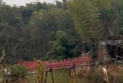 花溪新闻爆料最新情况,事件进展及最新动态揭晓