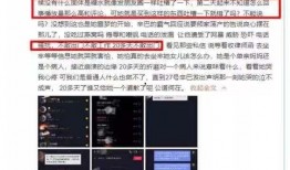 律师评论辛巴爆料视频,律师深度解读事件真相