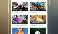 v在线观看,沉浸式体验，解锁影视新境界