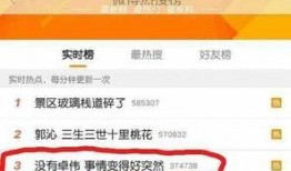 卓伟最新爆料伊能静,卓伟最新爆料揭秘真相