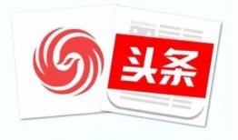 早安爆料今日头条视频,今日头条视频揭秘热门话题，精彩内容不容错过！
