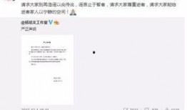 网上爆料恩宝事件视频播放,真相与争议再引热议